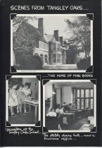 Scenes From Tangley Oaks